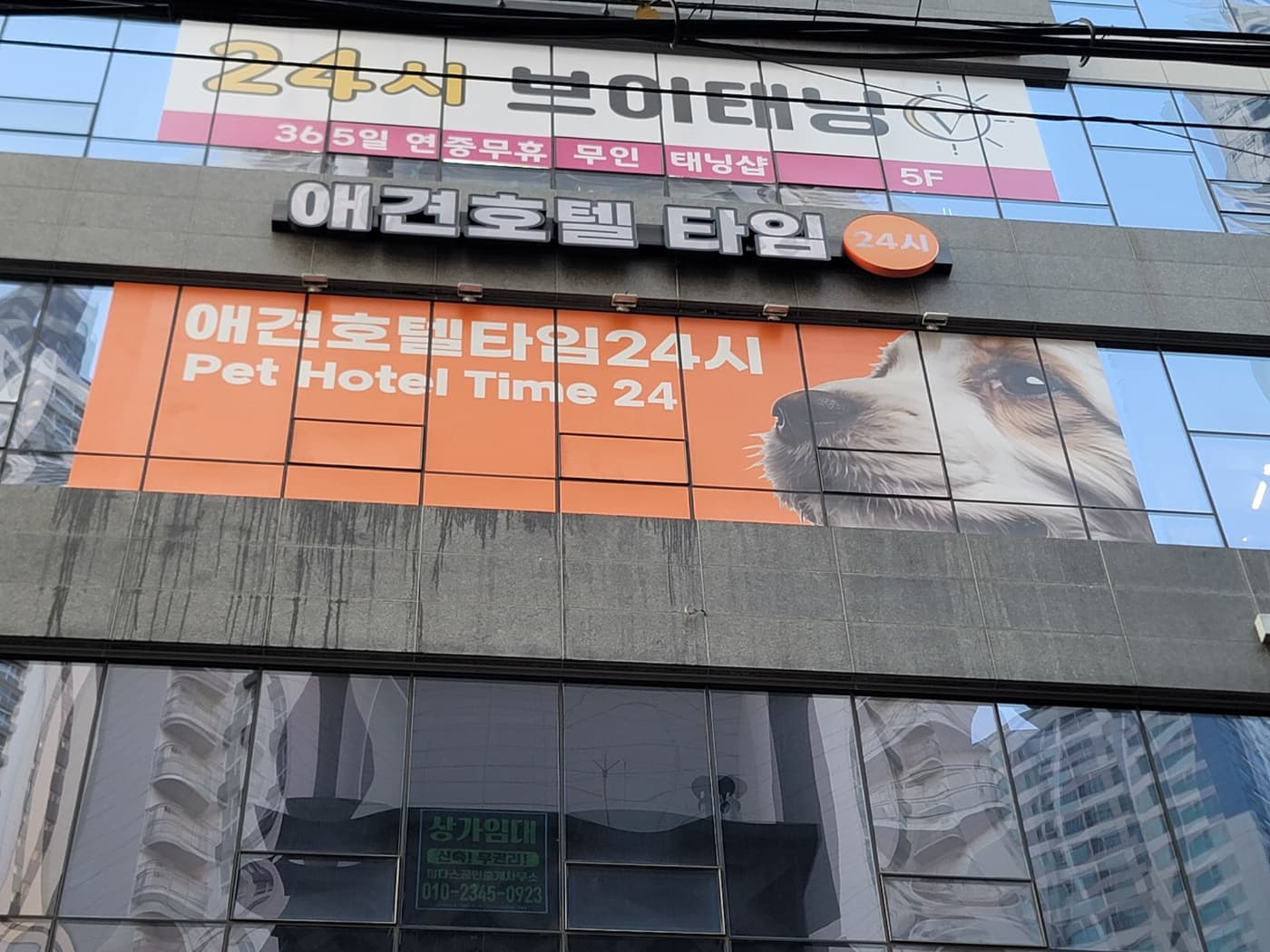 애견호텔 타임24 황금역점 건물 외관 간판